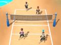 Oyunu Plaj voleybolu 3D  çevrimiçi