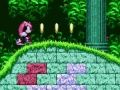 Oyunu Sonic 2'de Mighty ve Ray  çevrimiçi