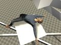 Oyunu Ragdoll Testi  çevrimiçi