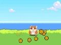 Oyunu Hamster Kombat Tıklayıcısı  çevrimiçi
