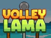 Oyunu Voleybolu Lama  çevrimiçi