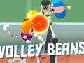 Oyunu Voleybol Fasulyesi  çevrimiçi