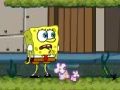 Oyunu SpongeBob Squarepants: Kim Bob ne pantolon?  çevrimiçi