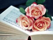 Oyunu Blooms Jigsaw Kitabı çevrimiçi