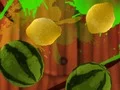 Oyunu Fruit Break çevrimiçi