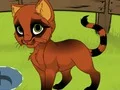 Oyunu My Kitten çevrimiçi