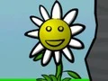 Oyunu Flower Power çevrimiçi