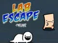 Oyunu Lab Escape Online çevrimiçi