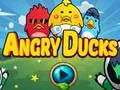 Oyunu Angry Ducks çevrimiçi