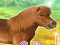 Oyunu My Dear Pony çevrimiçi