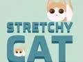 Oyunu Stretchy Cat çevrimiçi