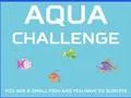 Oyunu Aqua Challenge çevrimiçi