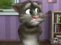 Oyunu Talking Tom Cat 2 çevrimiçi