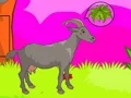 Oyunu Wolf Escape çevrimiçi