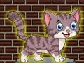 Oyunu Loveable Small Cat Escape çevrimiçi