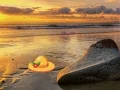 Oyunu Escape From Sunset Beach çevrimiçi