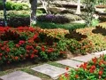 Oyunu Leaf Farm Garden Escape çevrimiçi