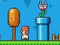 Oyunu Ninja Plumber çevrimiçi
