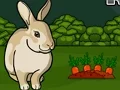 Oyunu Rescue The Grey Rabbit çevrimiçi