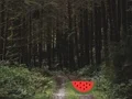 Oyunu Dense Forest Deer Escape çevrimiçi