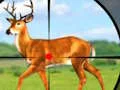 Oyunu Wild Hunt Hunting Games 3D çevrimiçi
