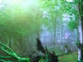 Oyunu Trapped Honeybee Escape çevrimiçi