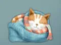 Oyunu Adorable Escape Find Cute Kitten çevrimiçi