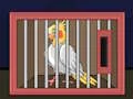 Oyunu Release The Cockatiel Bird çevrimiçi
