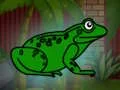 Oyunu Rescue The Green Toad From Underground çevrimiçi