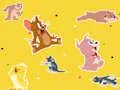 Oyunu The Tom and Jerry Show Find it! çevrimiçi
