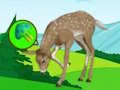 Oyunu The Deer Meadow Escape çevrimiçi