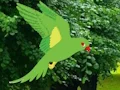Oyunu Parrot Find The Nest çevrimiçi