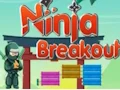 Oyunu Ninja Breakout çevrimiçi