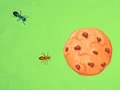 Oyunu Ant vs Cookie çevrimiçi