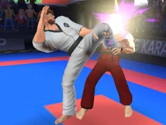 Oyunu Karate Fighter çevrimiçi