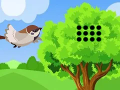 Oyunu Sparrow Meets Crow Buddies çevrimiçi