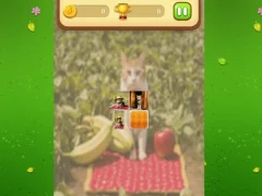 Oyunu Farm Cat Memory Match çevrimiçi