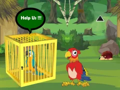 Oyunu Release Trapped Macaw Buddy çevrimiçi