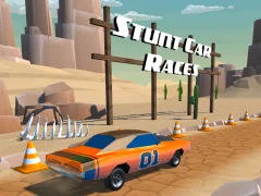 Oyunu Stunt car Races çevrimiçi