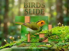 Oyunu Birds Slide çevrimiçi