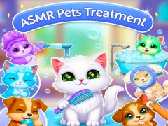 Oyunu ASMR Pets Treatment çevrimiçi