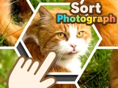 Oyunu Sort Photograph çevrimiçi