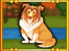 Oyunu Bernese Mountain Dog Escape çevrimiçi