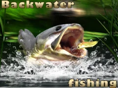 Oyunu Backwater Fishing çevrimiçi