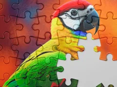 Oyunu Jigsaw Master çevrimiçi