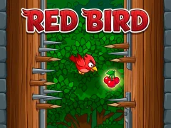 Oyunu Red Bird çevrimiçi