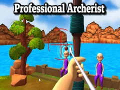 Oyunu Professional Archerist çevrimiçi