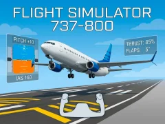 Oyunu Flight Simulator 737-800 çevrimiçi