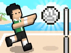 Oyunu Volley Random çevrimiçi