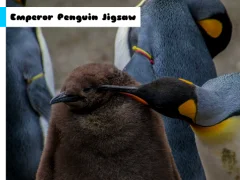 Oyunu Emperor Penguin Jigsaw çevrimiçi